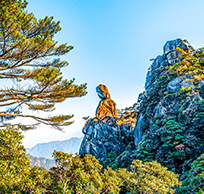 驴妹妹旅行照片