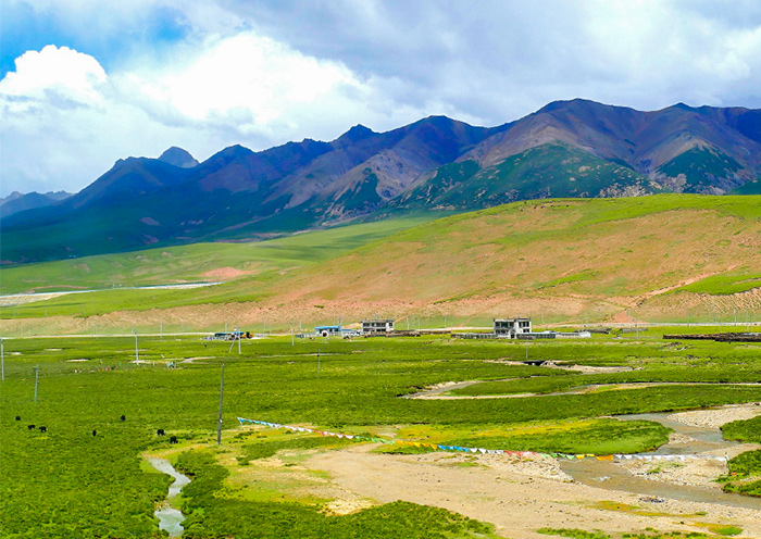 northen-tibet-grassland2