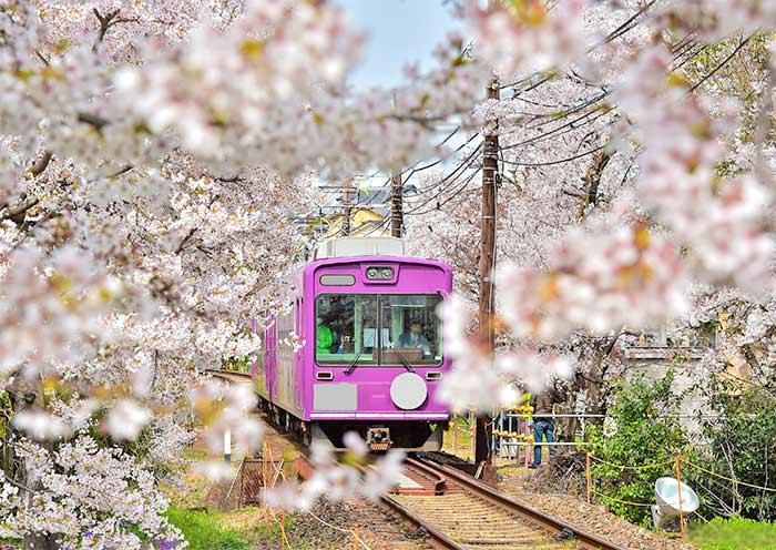 aagano-scenic-railway1