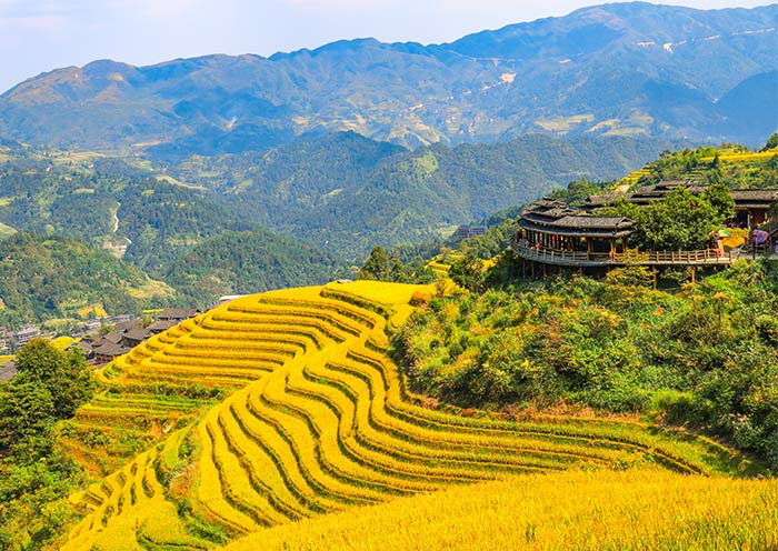 longji-rice-terrace-dazhai3