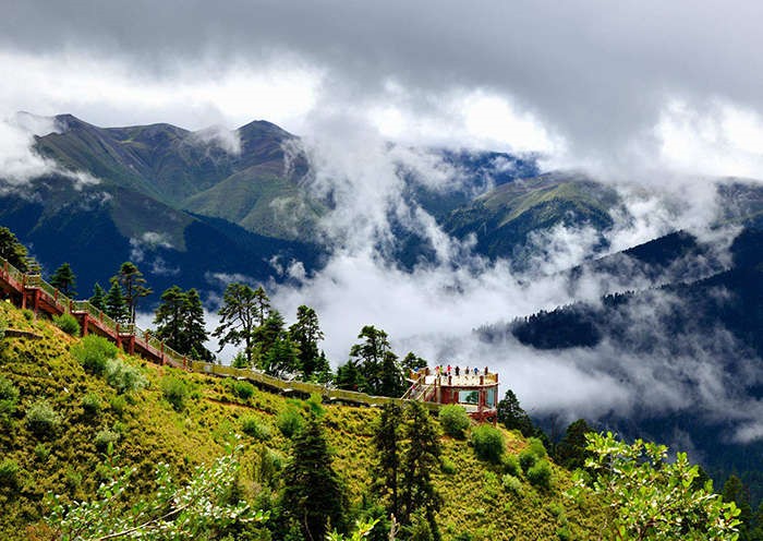 lulang-forest-clouds