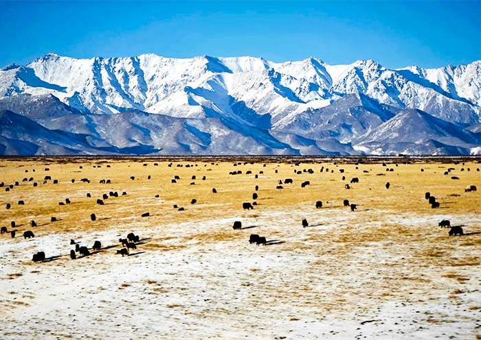 zhangye-xining-high-speed-train-view1