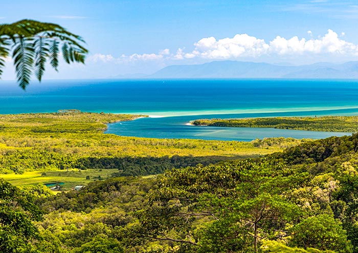 daintree-rainforest4