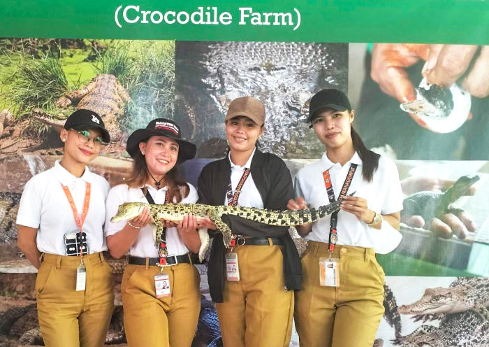 crocodile-farm-puerto-princesa1