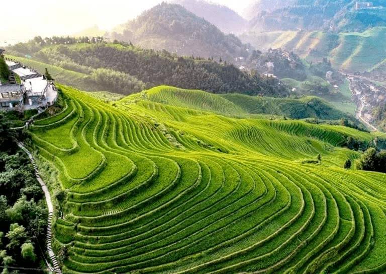 longji-rice-terrace-dazhai2