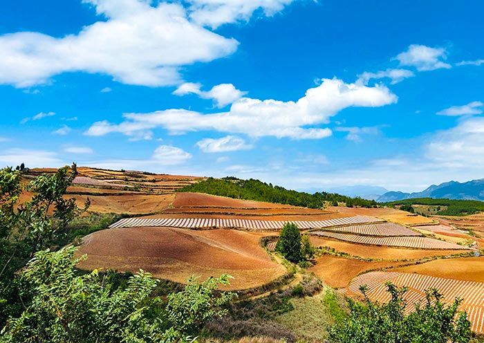 dongchuan-red-land2