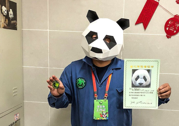 dujiangyan-panda-volunteer1