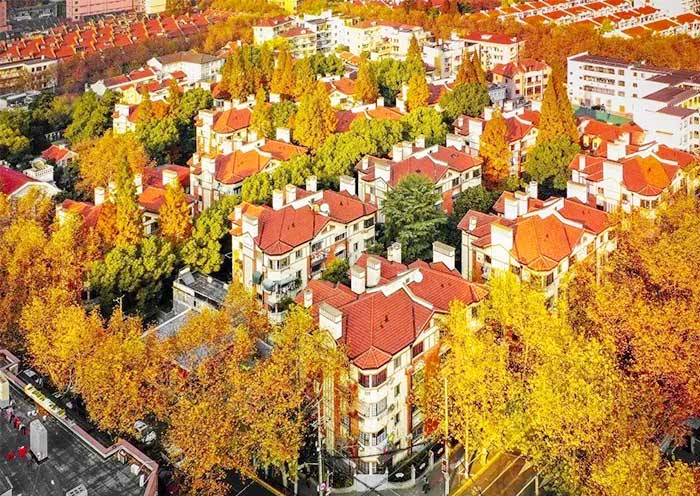 shanghai-french-concession-sinan-road1