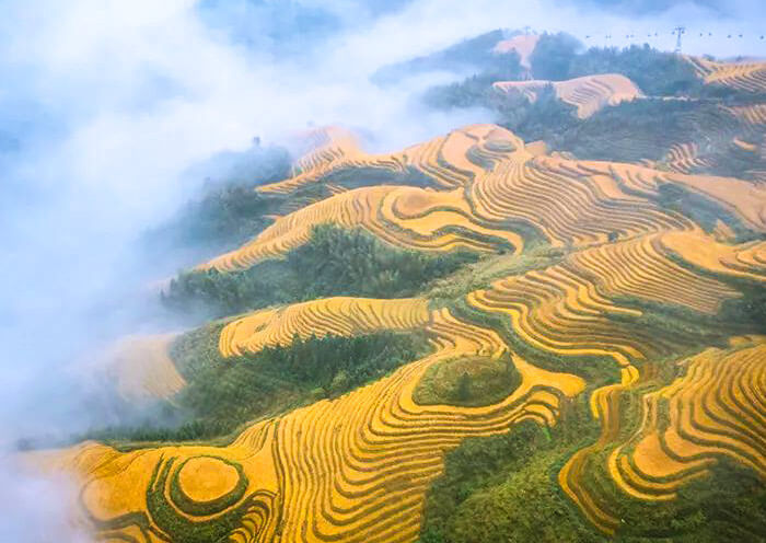 longji-rice-terrace-dazhai4