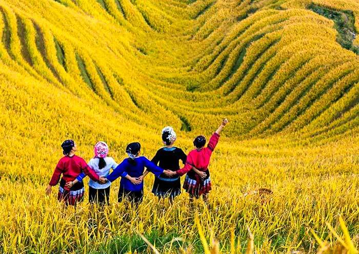 梯田徒步 | 桂林+龍脊梯田+陽朔深度5日遊（漓江遊船+遇龍河竹筏）