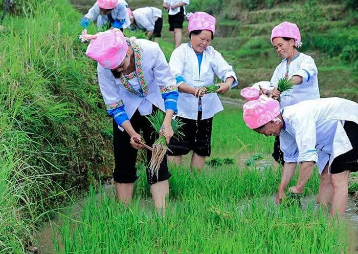 zhuang-ethnic-group1