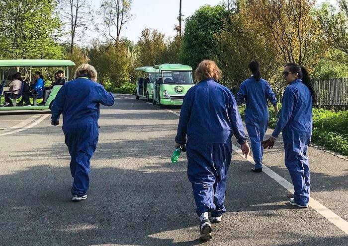 dujiangyan-panda-volunteer2