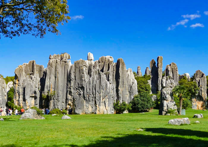 kunming-stone-forest4