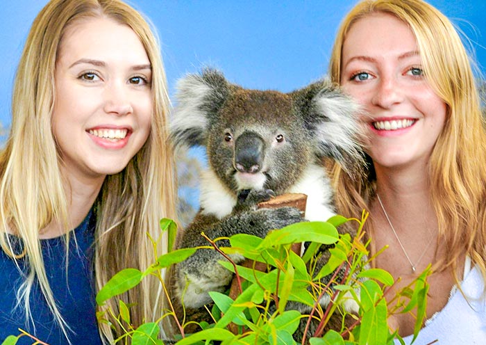 caverssham-wildlife-park1