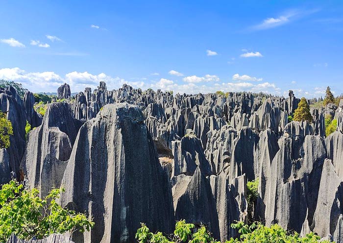 2025雲南昆明石林風景區旅遊攻略「附天氣+門票+景點+交通」